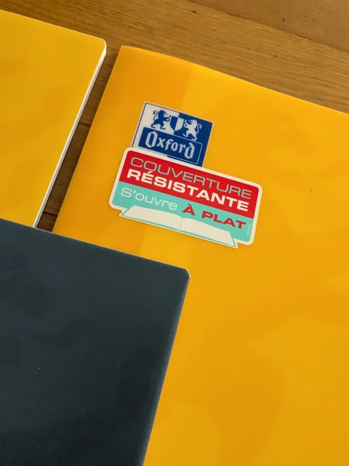 1 (ou +) Cahier open flex couverture résistante 96 pages grands carreaux - photo numéro 3