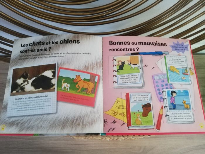 Livres chats Kididoc - photo numéro 3