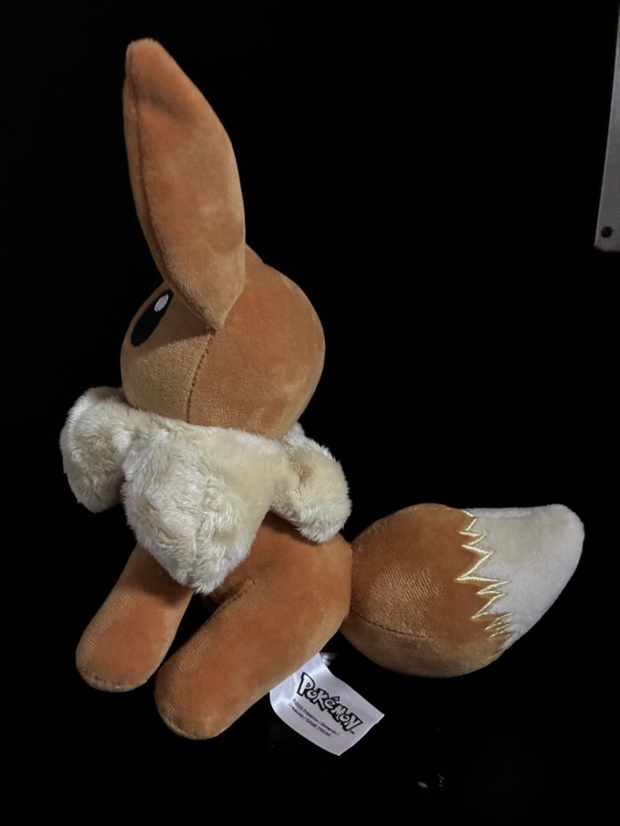 Eevee pokemon - photo numéro 3