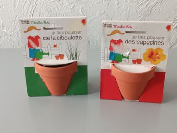 Graines de folie Moulin Roty 