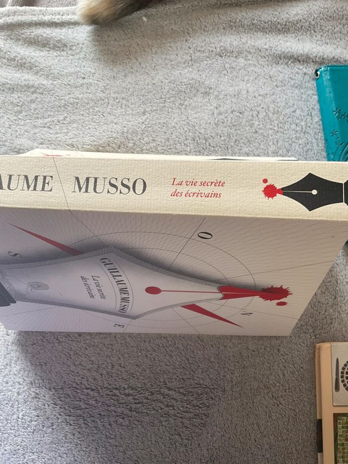 #la vie secrète des écrivains Guillaume Mussorgsky - photo numéro 4