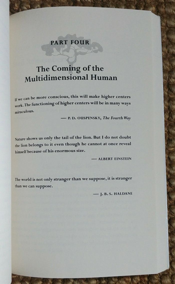 Dreamgates de Robert Moss (2010) - photo numéro 16