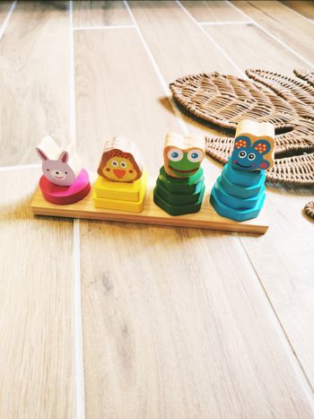 🐰 Formes géométriques multicolores avec animaux à trier et empiler en bois