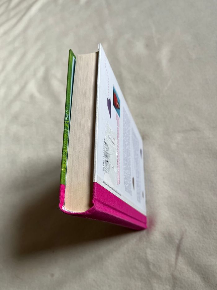 Giordano ta deuxième vie commence - photo numéro 3