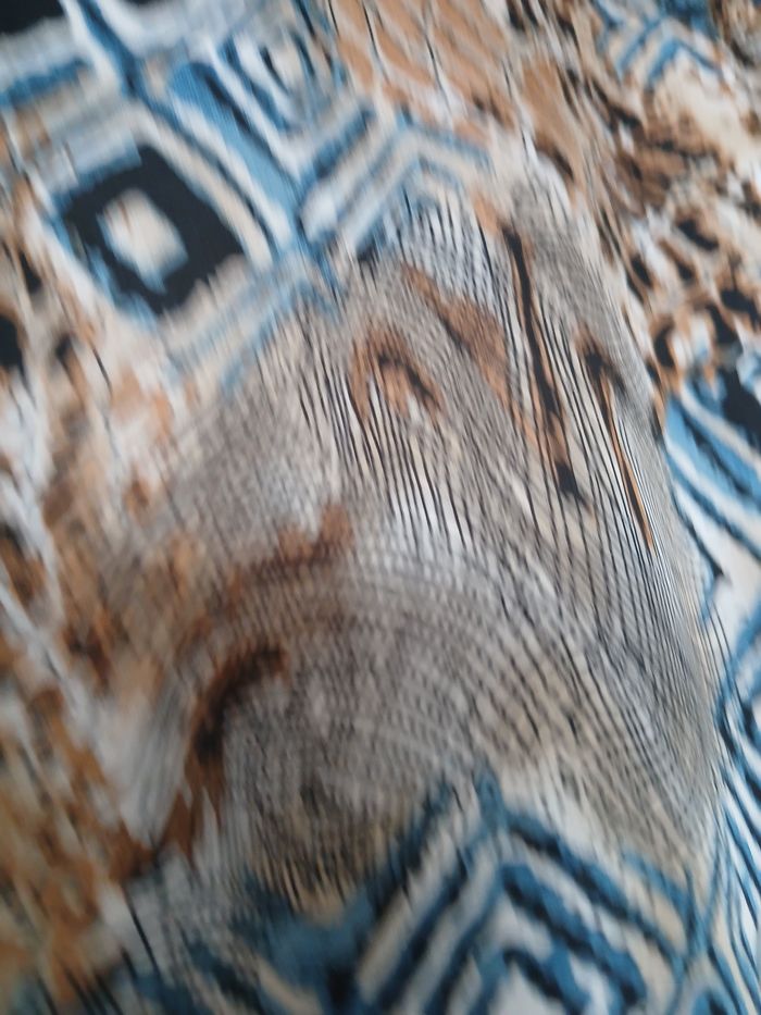 Tunique - photo numéro 3