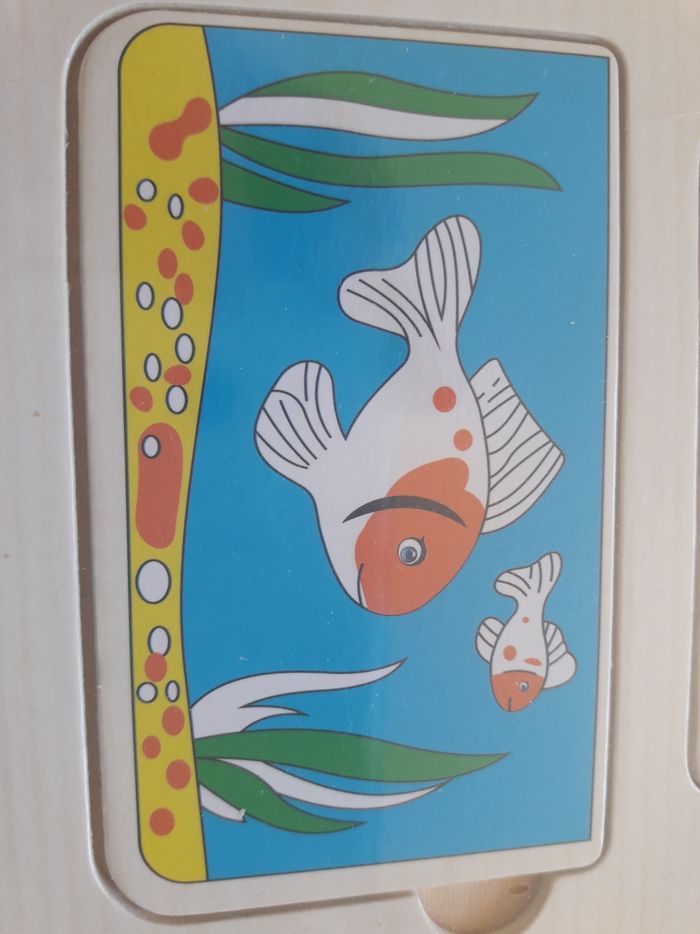 Forme à encastrer animaux - photo numéro 6