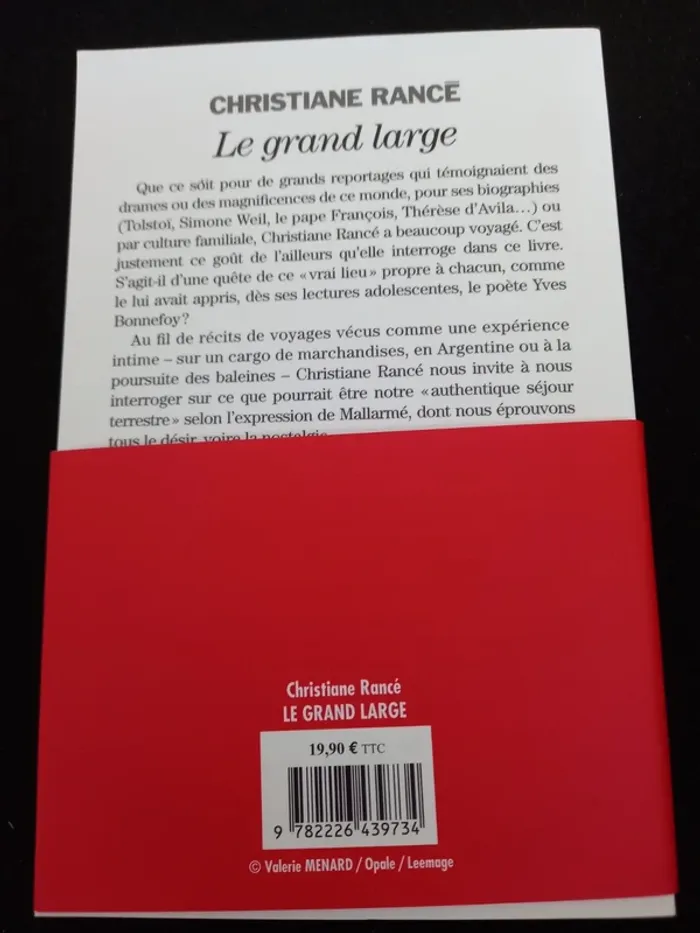 Le grand large Christiane Rancé Albin Michel - photo numéro 2