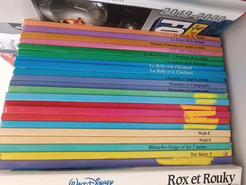 collection lot livres Disney