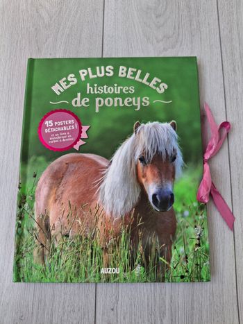 Livre Mes plus belles histoires de poney 🐴