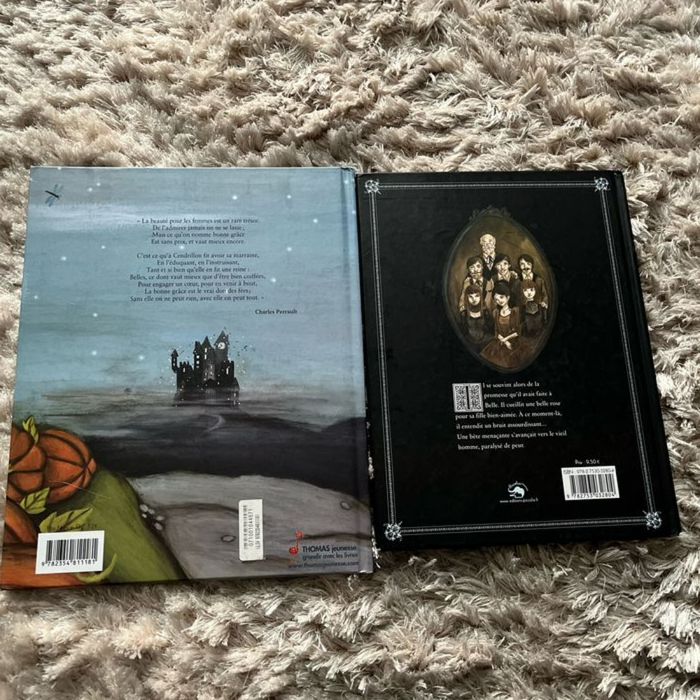 Lot livres princesses - photo numéro 2