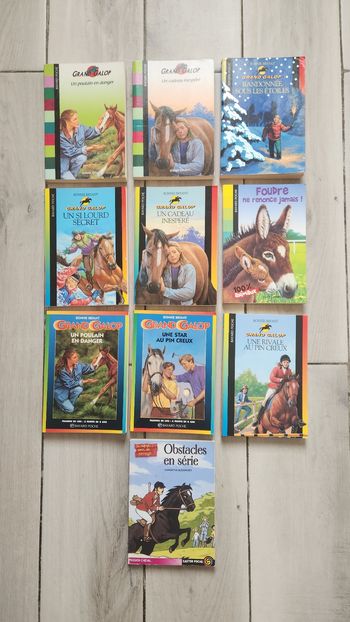Lot de 9 livres pour enfants 