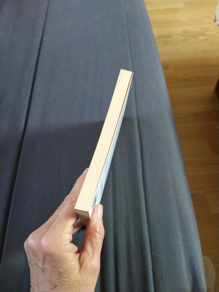 Trois grands fauves de Hugo Boris - photo numéro 5