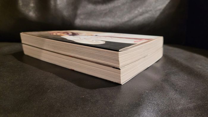 Manga My Home Hero 1 2 - photo numéro 7