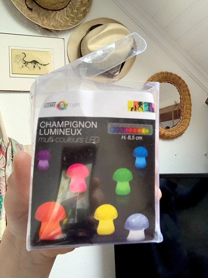 Petit Champignon lumineux LED multicolore