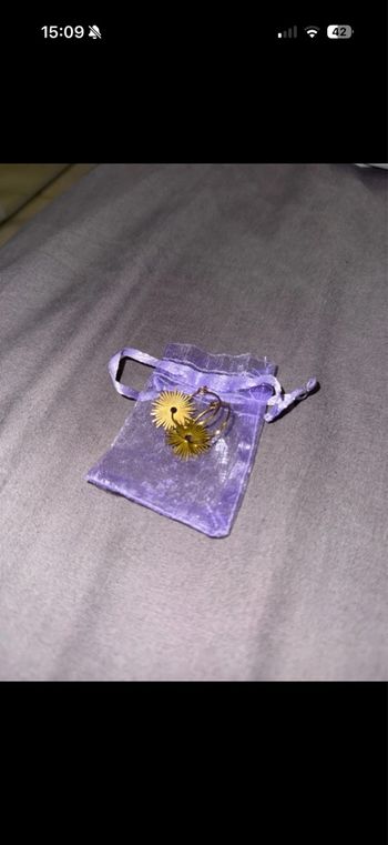 boucle d’oreille jamais porter 