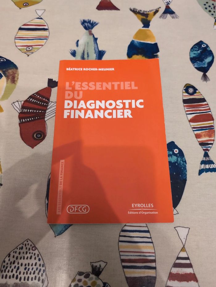 L'essentiel du diagnostic financier