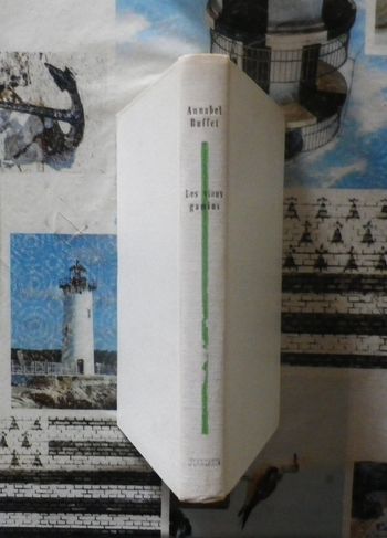 Les vieux gamins d'Annabel Buffet Ed. Julliard