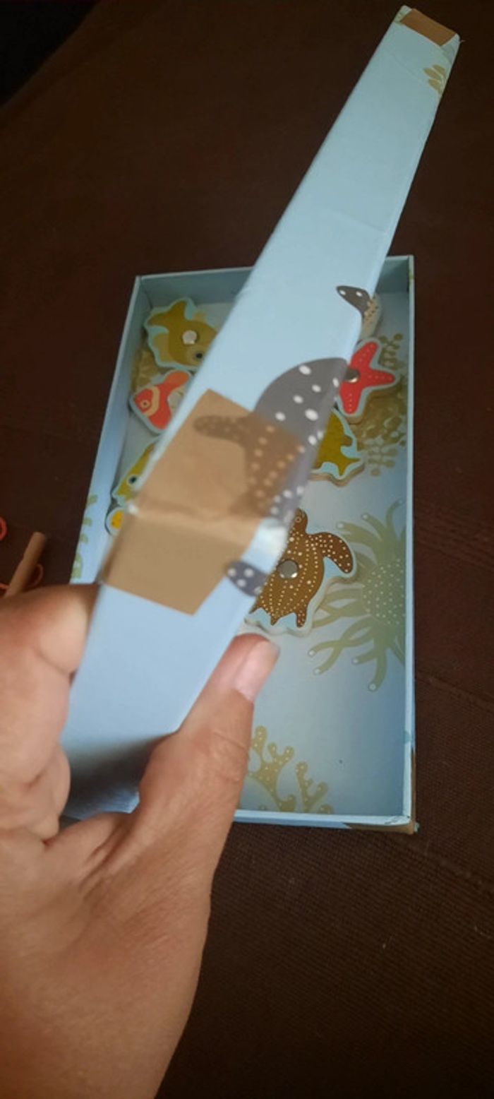 Pêche tropicale - photo numéro 5