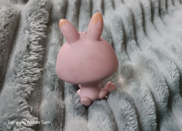 Petshop lapin 667 - photo numéro 3