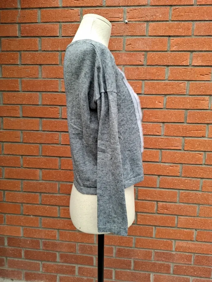Pull court T36 - photo numéro 3