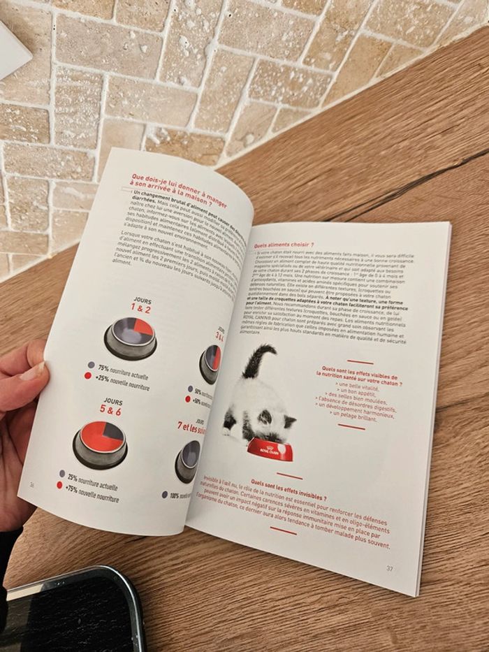🔅 livre guide chaton - photo numéro 6