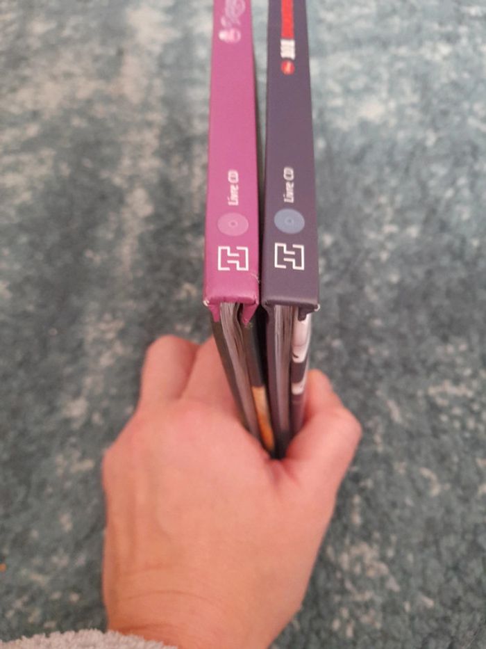 Lot livre cd disney raiponce + 101 dalmatiens - photo numéro 6