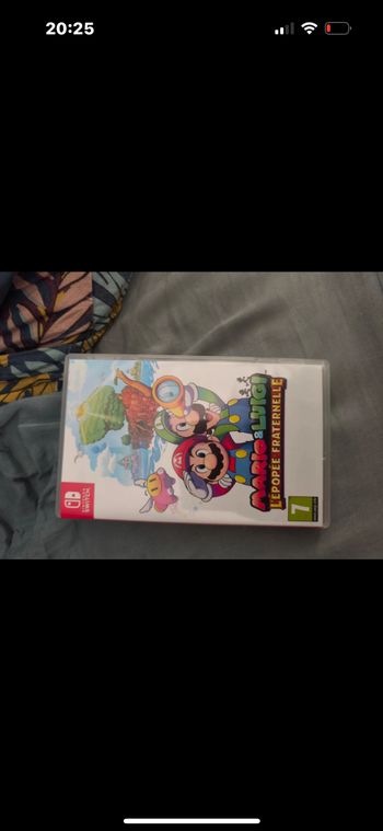 Mario et luigi l’épopée fraternelle