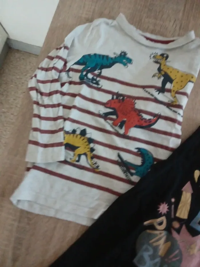 🌹2 tee shirt manche longue du pareil au même 5 ans 🌹 - photo numéro 3