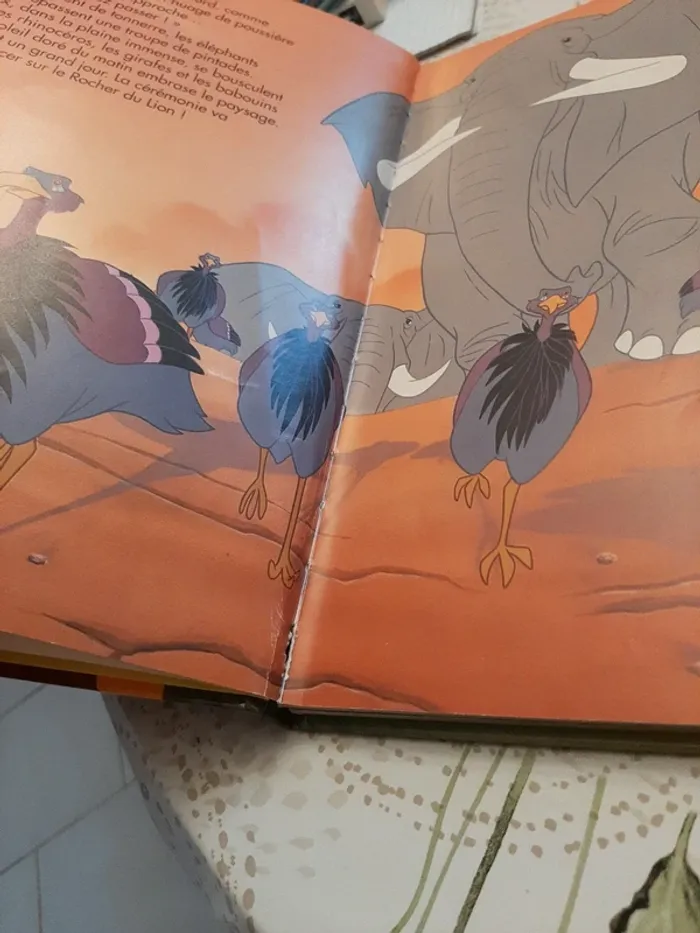Gros livre disney le roi lion - photo numéro 7