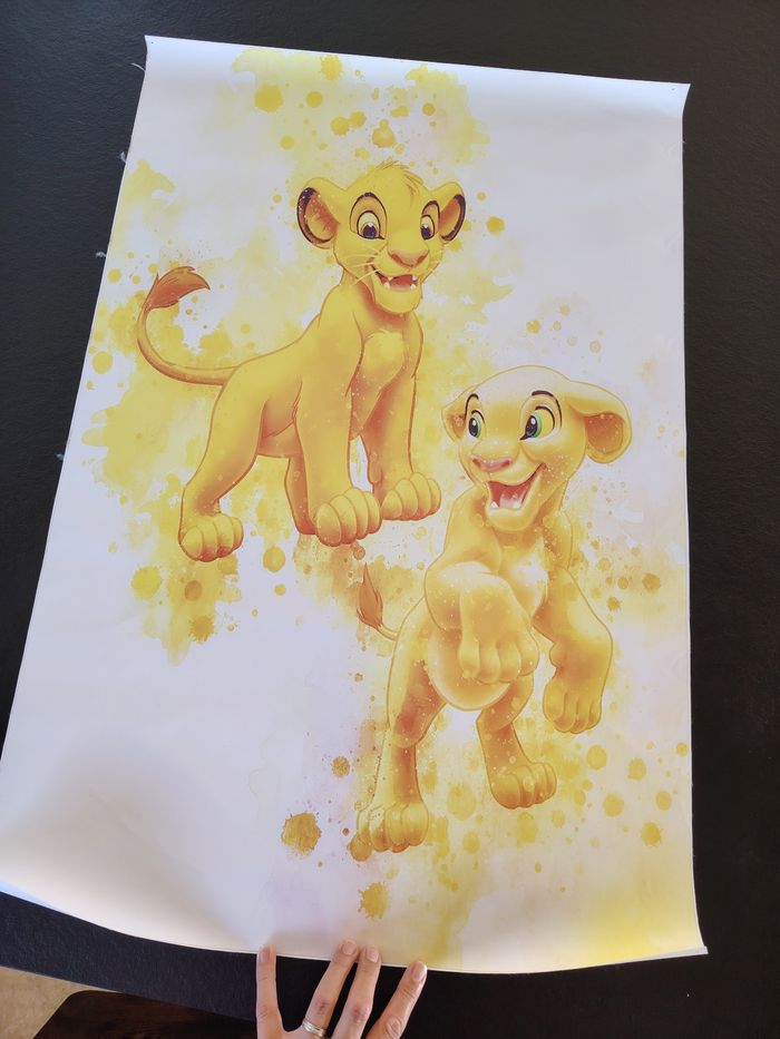 Toile tisser Disney - photo numéro 3