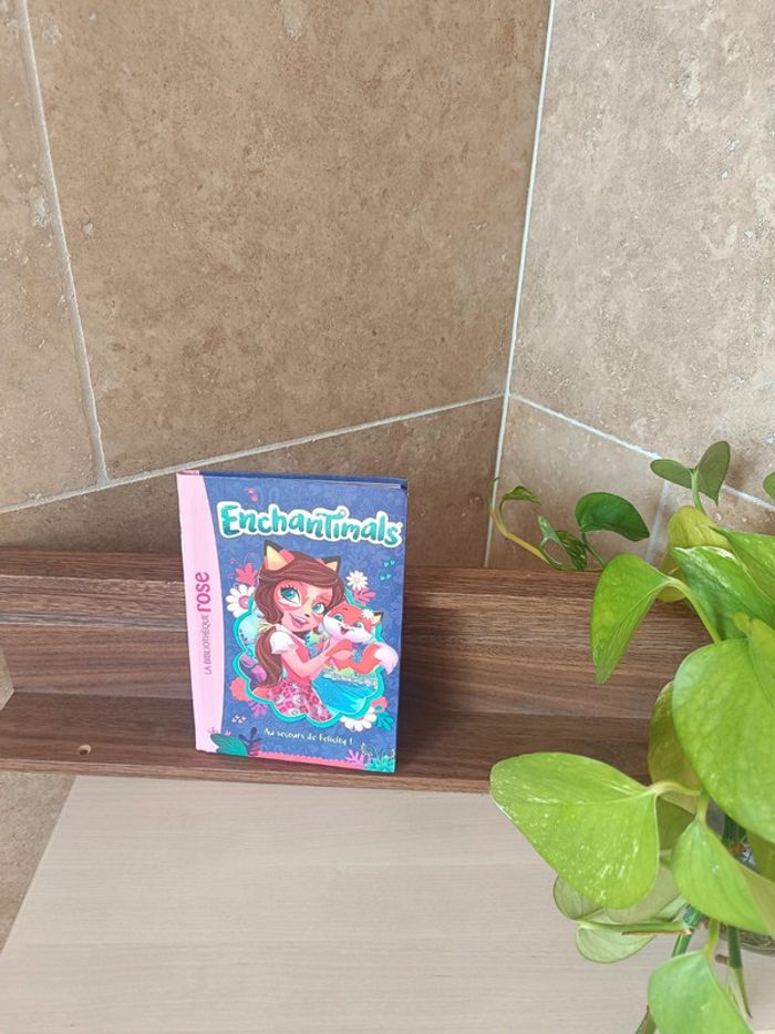 Livre enchantimals