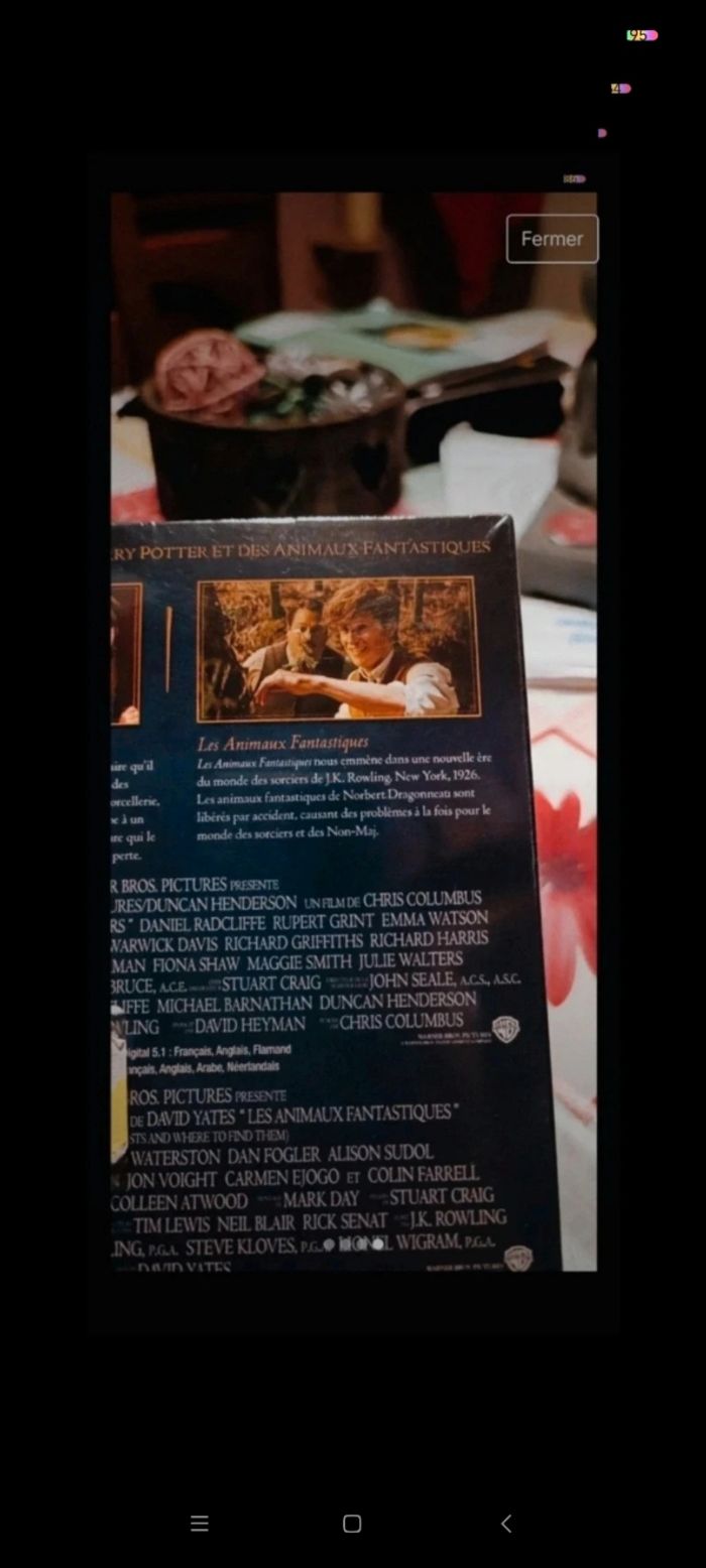 DVD deux films - photo numéro 4