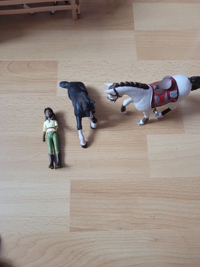 Haras schleich - photo numéro 10