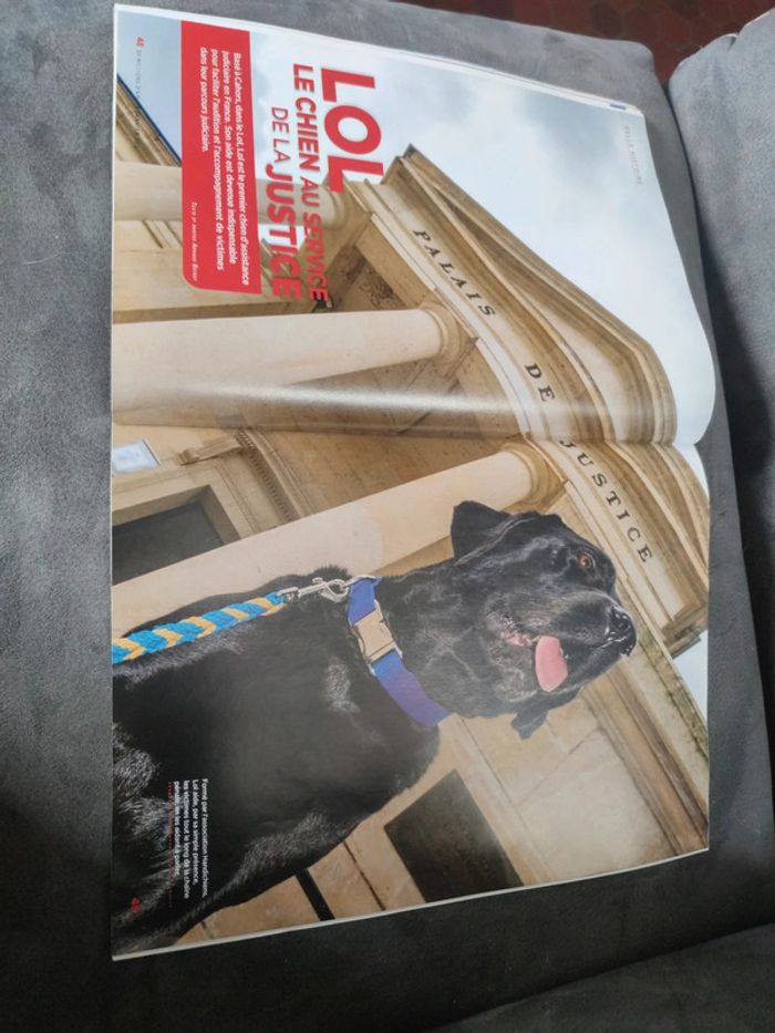 Magazine 30 millions d'amis numéro 391 janvier 2021 - photo numéro 11