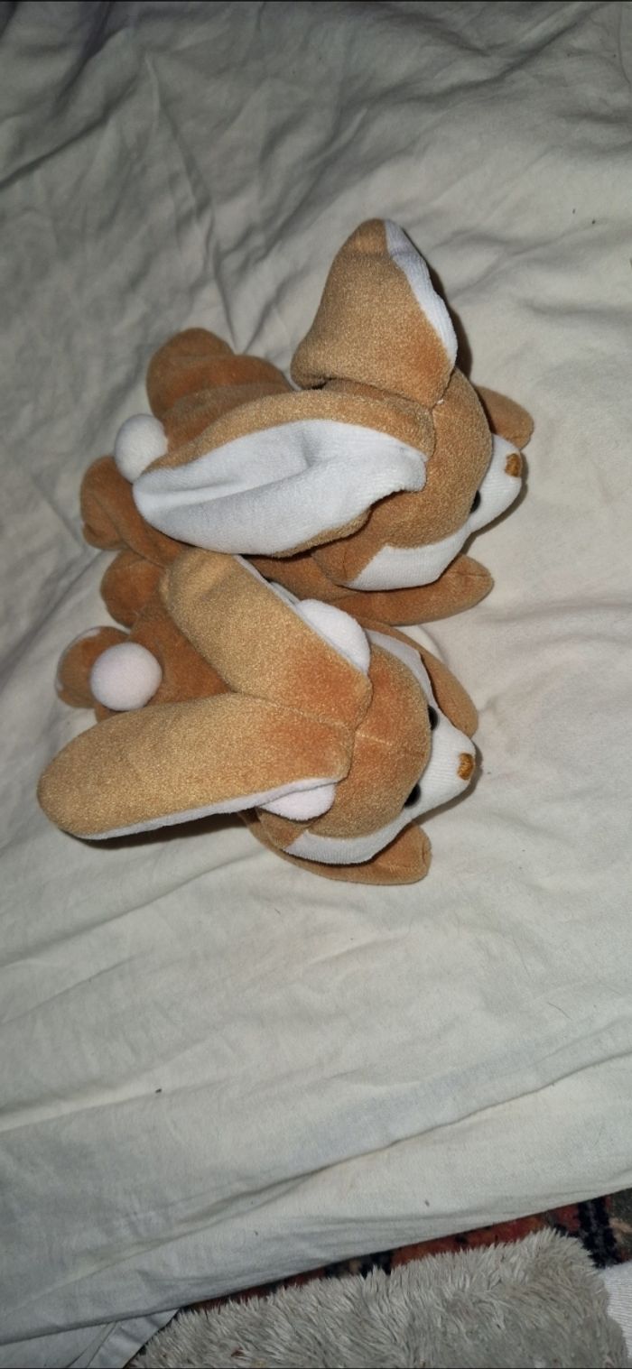 Lapins - photo numéro 4