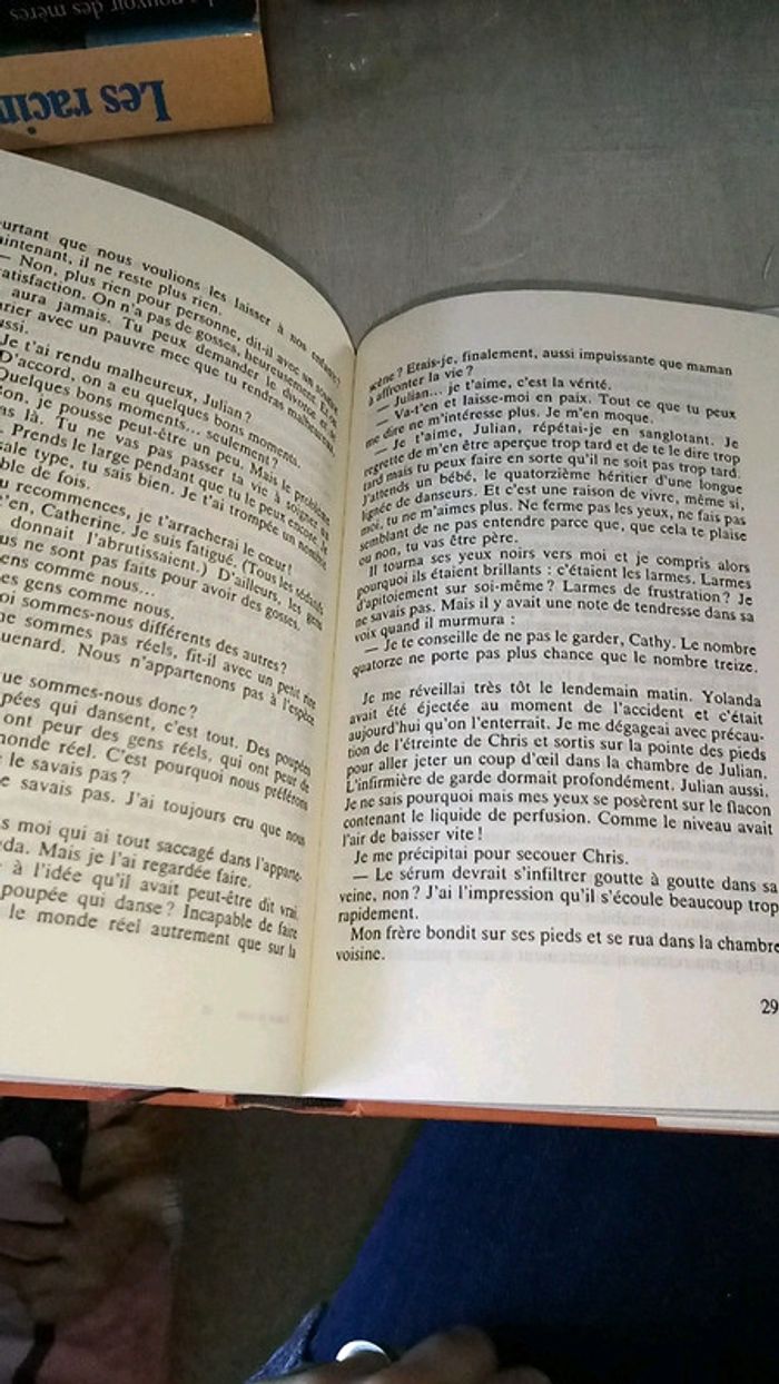 Pétales au vent - photo numéro 4