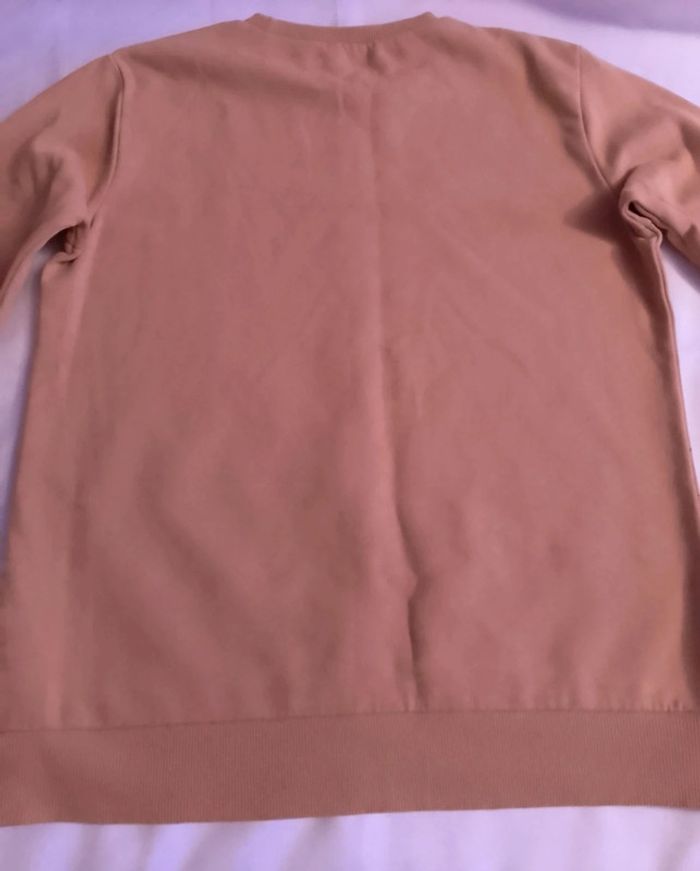 Pull triceratops. - photo numéro 4