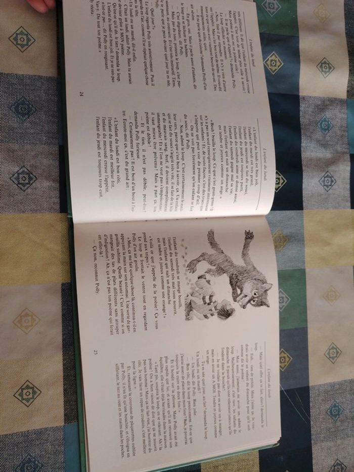 Livre sur le loup - photo numéro 10