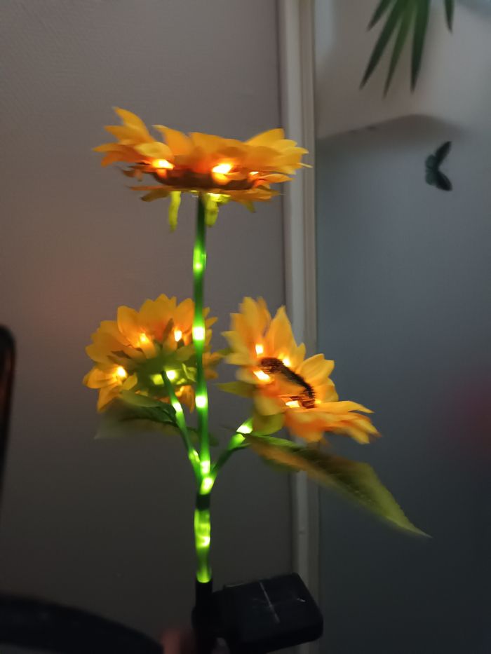 Lumière decorative