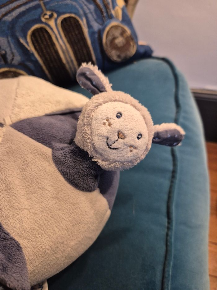 Balle d'activite Sauthon - photo numéro 3