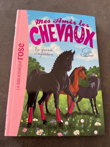Livre bibliothèque rose mes amis les chevaux tome 2