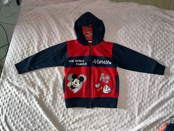 Veste