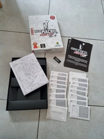 Micro Macro crime city