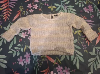 Petit pull fille