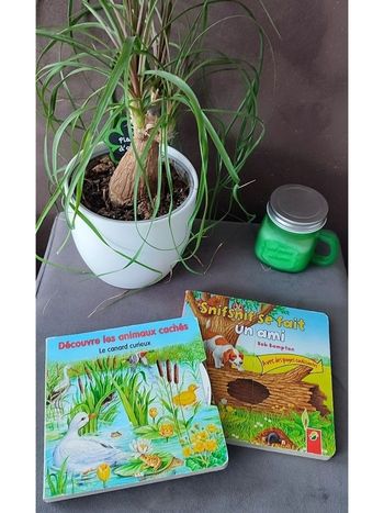 Lot 2 livres animés