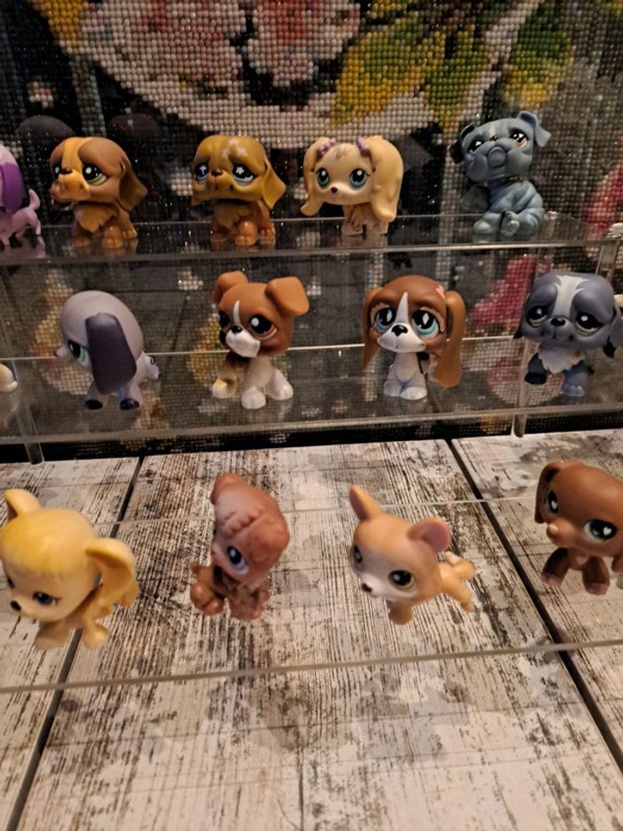Petshop chien au choix vente à l unité - photo numéro 5
