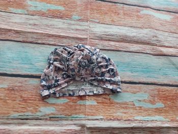 Bonnet fille lulu castagnette 6-12 mois