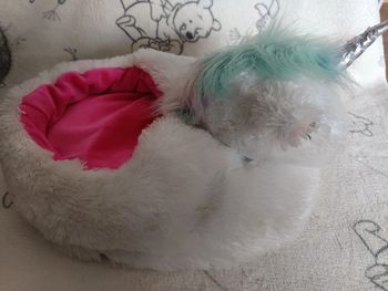 Bouillotte pieds licorne