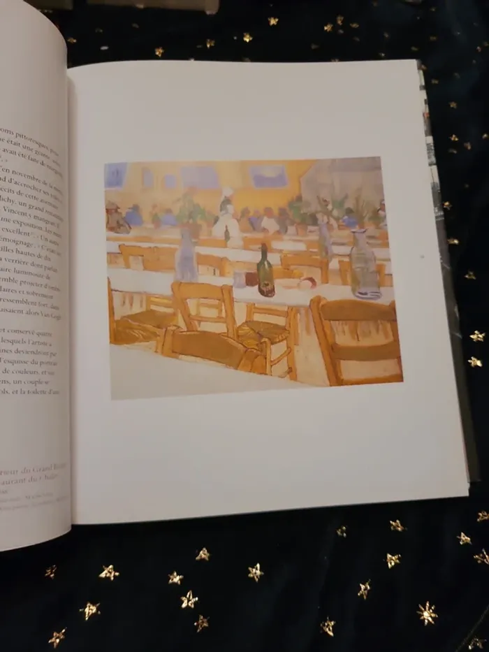 Livre Van Gogh à l'Auberge Ravoux - photo numéro 11