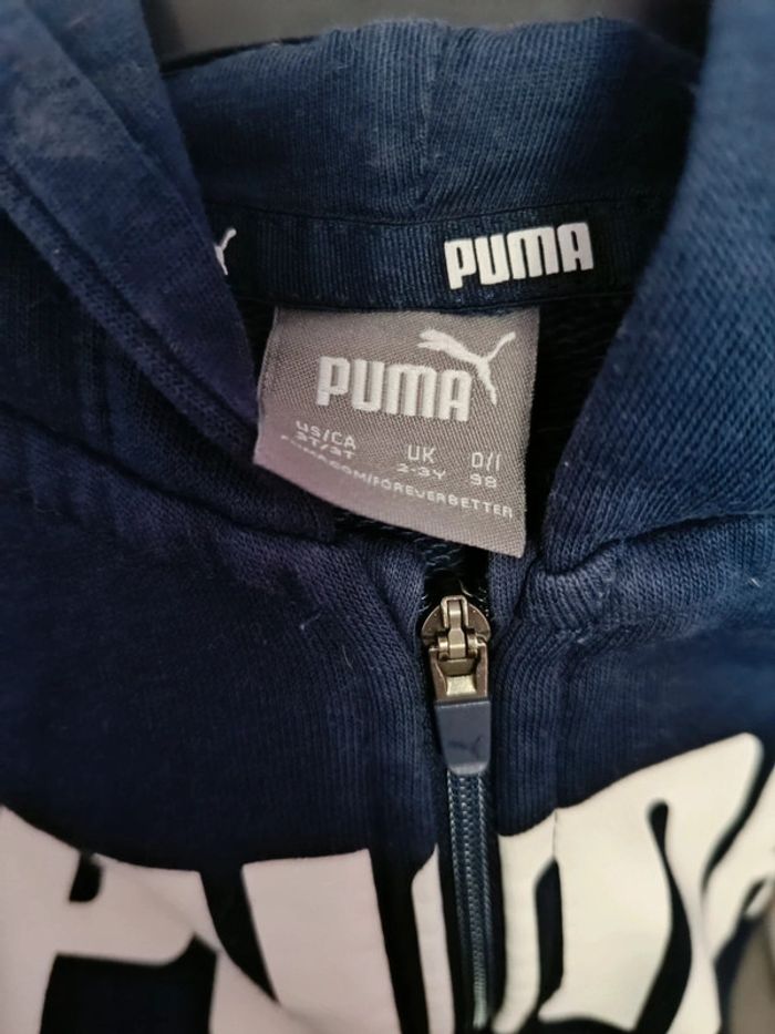 Ensemble puma - photo numéro 6